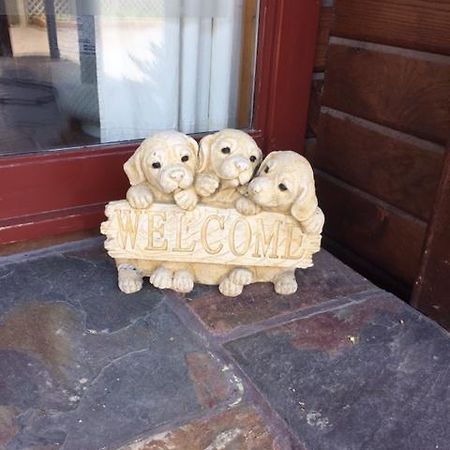 Travellers Retreat B&B Christchurch Bagian luar foto